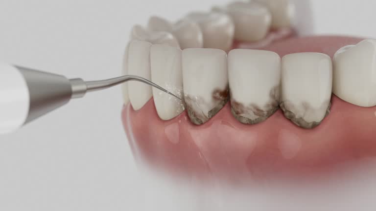 Reliable Dental contractor in Chamberlain, SD by Dentist Open Now